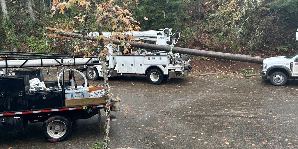 Root Sports NW - Emergency and Storm Restoration