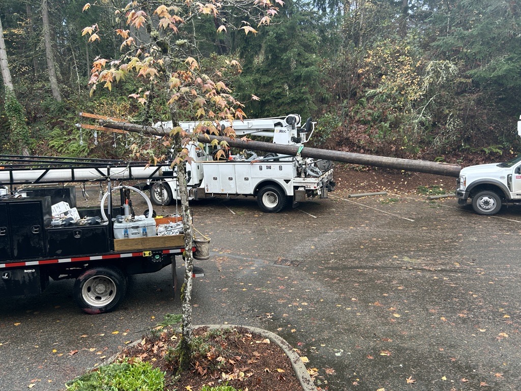 Root Sports NW - Emergency and Storm Restoration