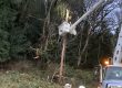 Puget Sound Energy - Emergency and Storm Restoration - High Voltage